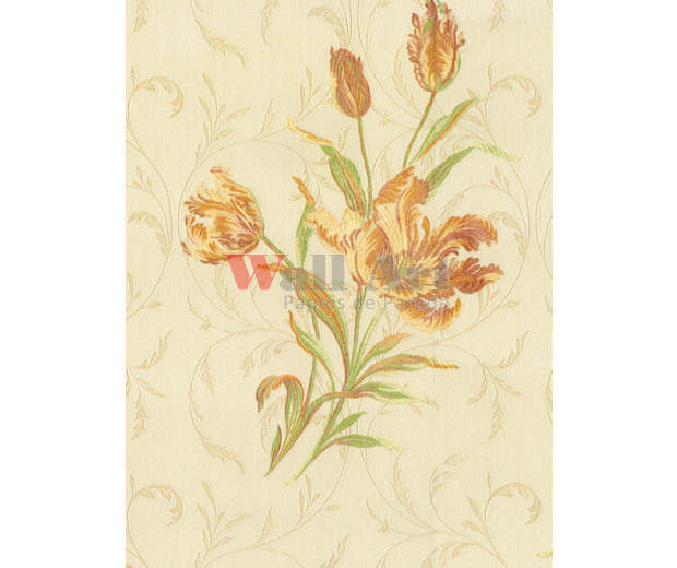 Piazza Grande - Cód. 5817