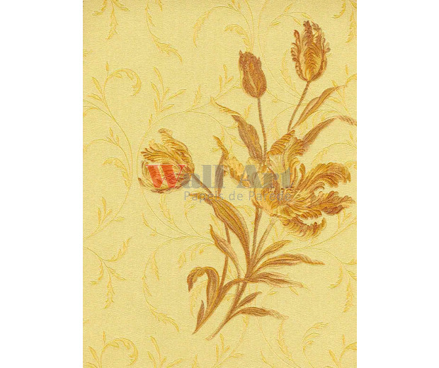 Piazza Grande - Cód. 5826